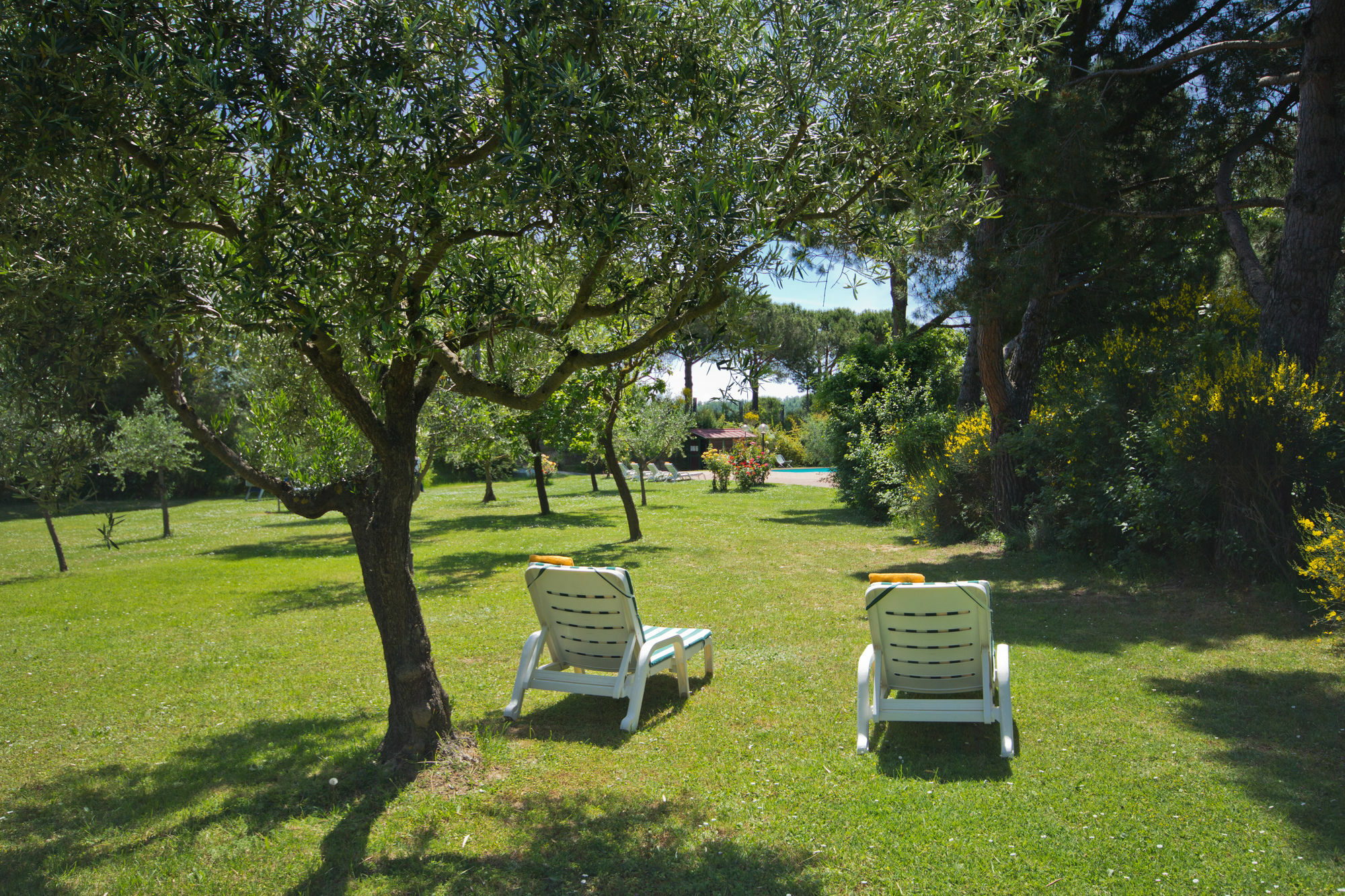 Hotel Panoramic Montepulciano Stazione Esterno foto